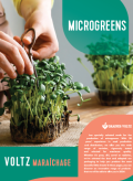 microgreens