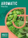 aromatic herbs